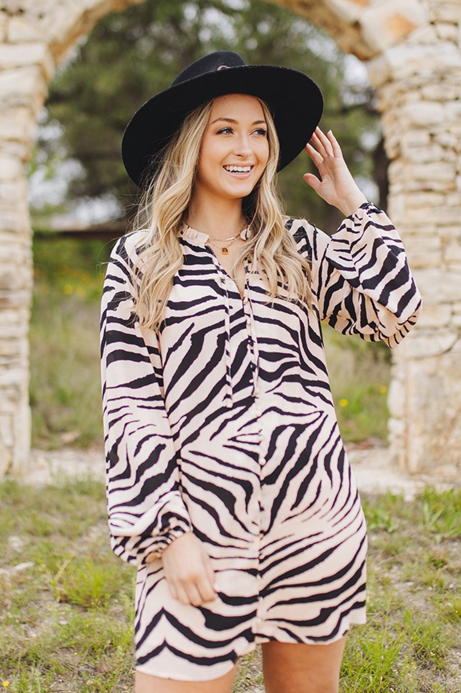 Dresses BuddyLove Clothing Label | Buddylove Leah Button Up Short Dress - Zebra Striped