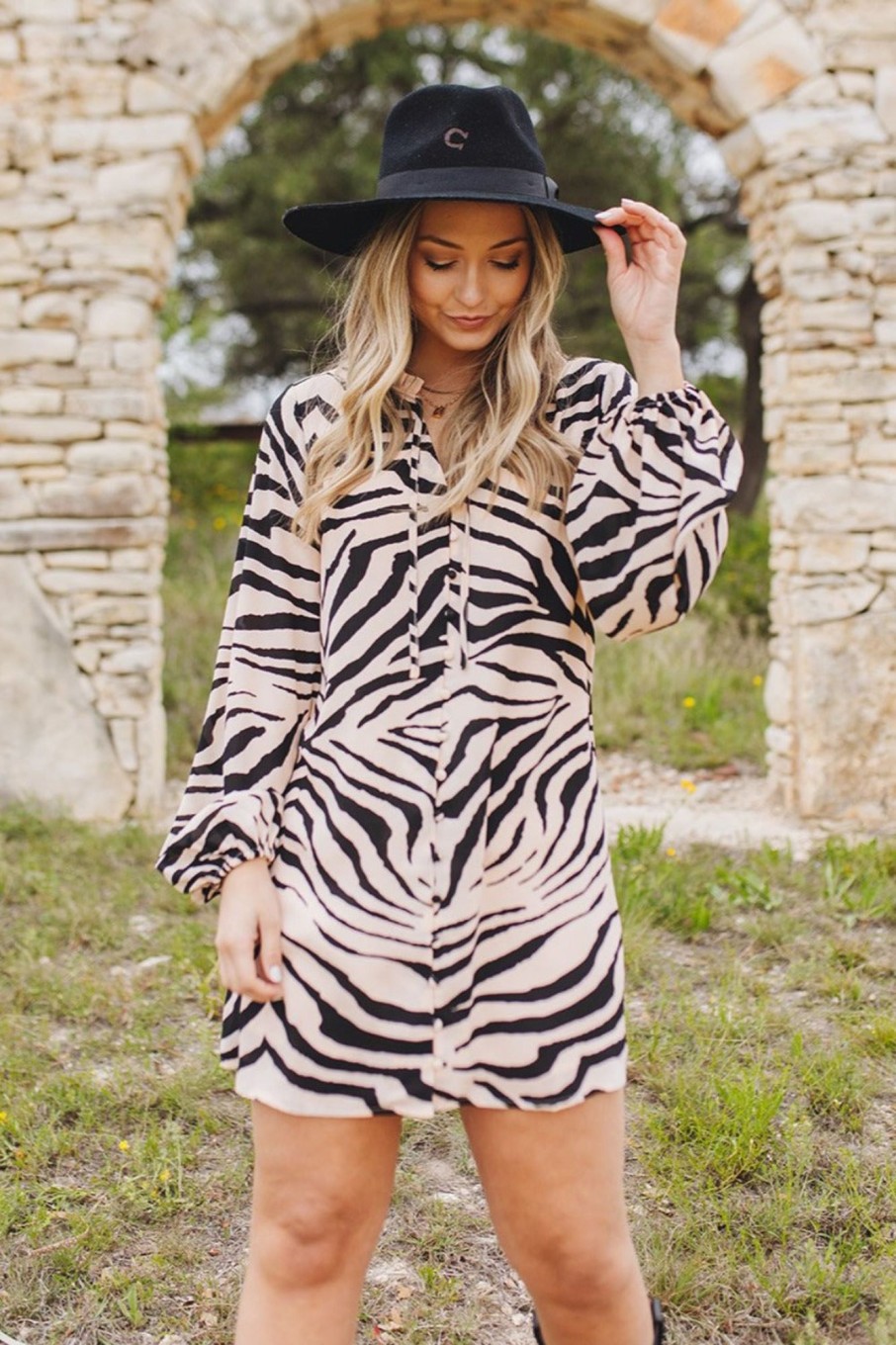 Dresses BuddyLove Clothing Label | Buddylove Leah Button Up Short Dress - Zebra Striped